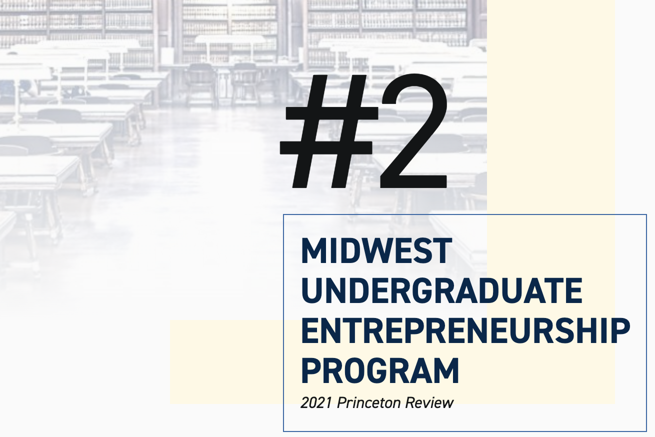 Princeton Review Entrepreneuship